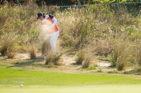 Shanshan Feng